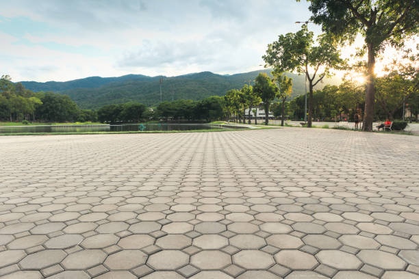 Best Local Driveway Pavers  in Plano, TX