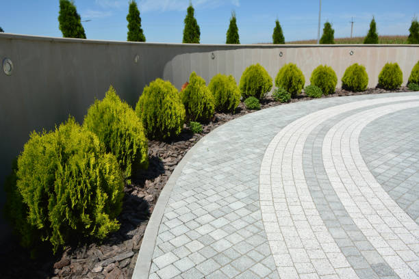 Professional Driveway Pavers in Plano, TX